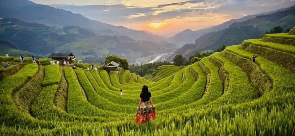 12-Day Northern Vietnam Cycling Tour: Sapa, Mu Cang Chai & Pu Luong Adventure